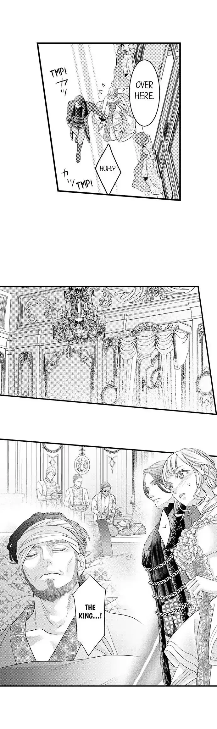 Isekai Ooku Ohi ni Naritakuba Yotogi de Denka ni Aisaretsuzuke yo Chapter 55 page 3