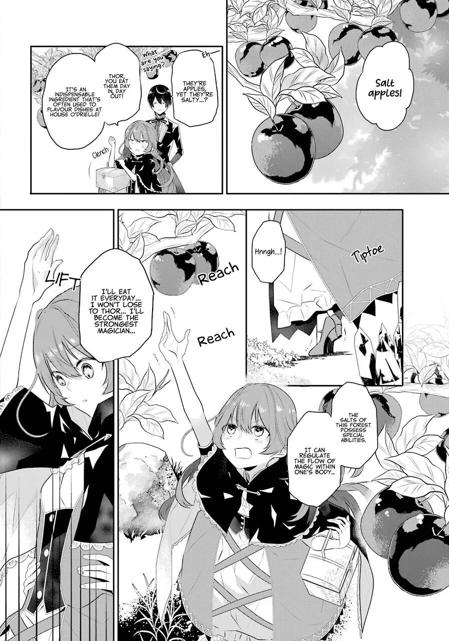 Maydare Tensei Monogatari: Kono Sekai de Ichiban Warui Majo Chapter 2 page 13