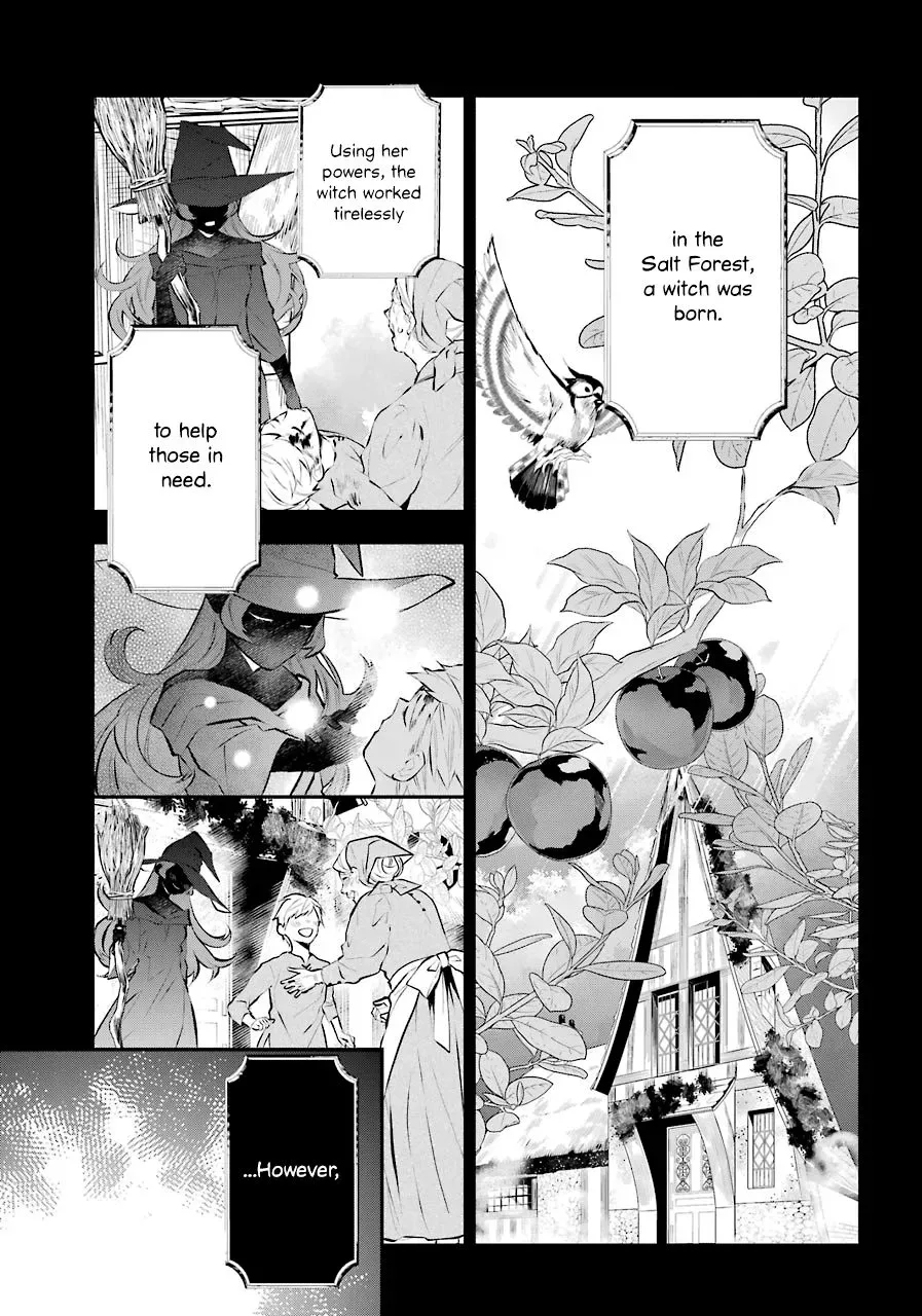 Maydare Tensei Monogatari: Kono Sekai de Ichiban Warui Majo Chapter 20 page 17