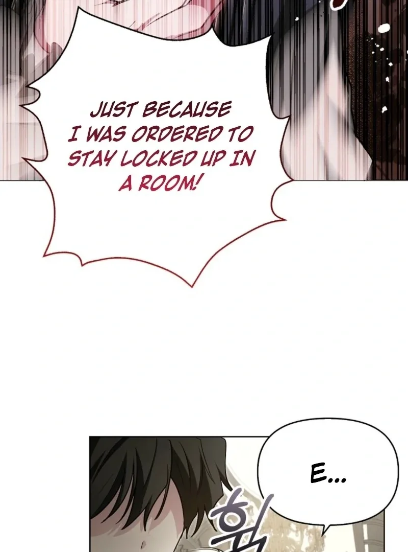 The Villainess’s Wise Retirement Plan Chapter 42 page 107