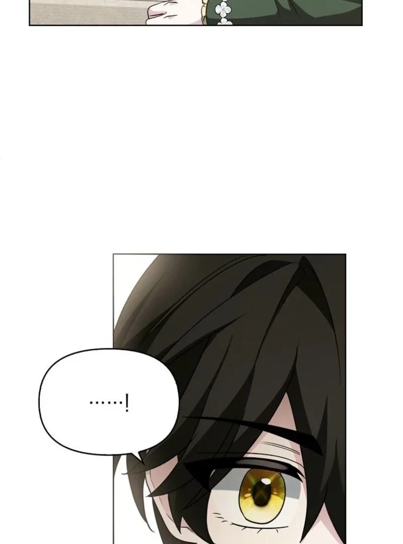 The Villainess’s Wise Retirement Plan Chapter 53 page 47