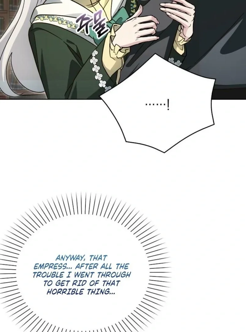 The Villainess’s Wise Retirement Plan Chapter 53 page 73