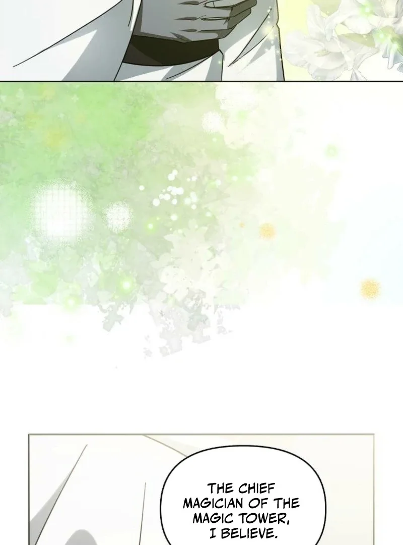The Villainess’s Wise Retirement Plan Chapter 48 page 5