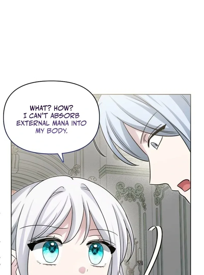 The Villainess’s Wise Retirement Plan Chapter 48 page 46