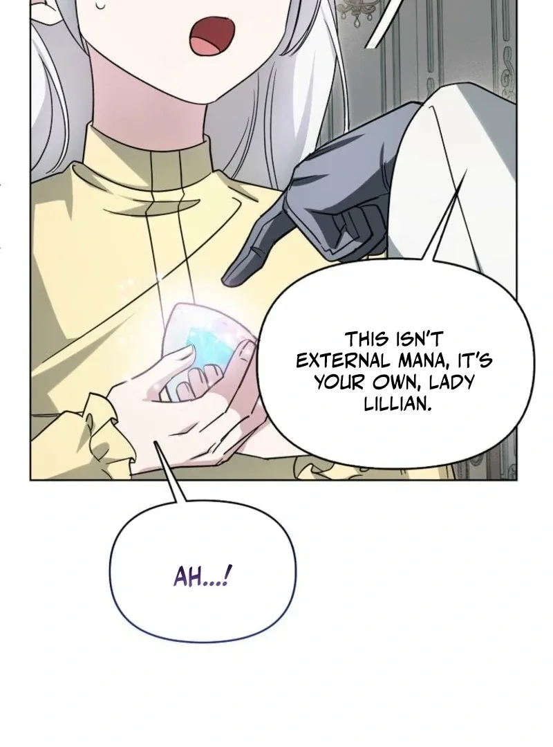 The Villainess’s Wise Retirement Plan Chapter 48 page 47