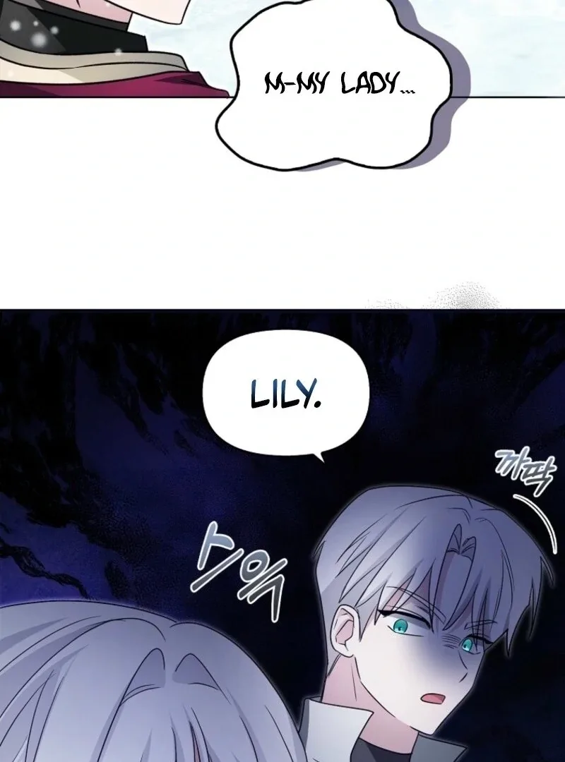 The Villainess’s Wise Retirement Plan Chapter 45 page 91