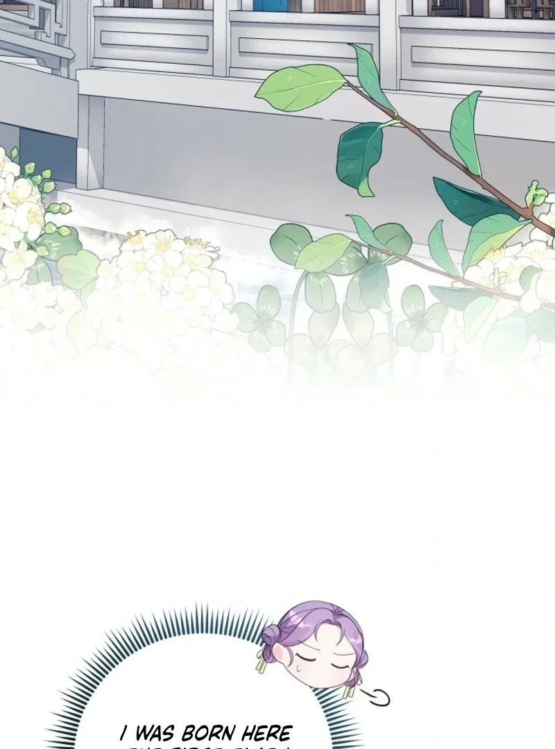 The Time-limited Baby Doctor Doesn’t Hide Her Smarts Chapter 1 page 78