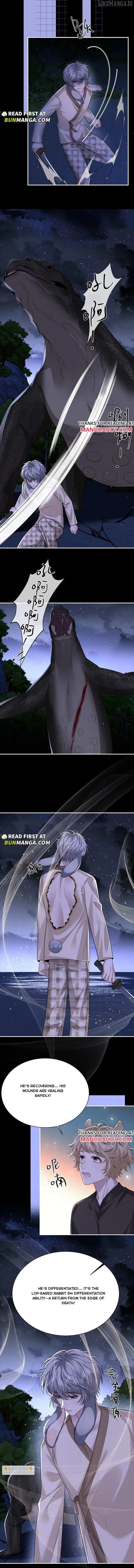 Everlasting Love Chapter 175 page 5