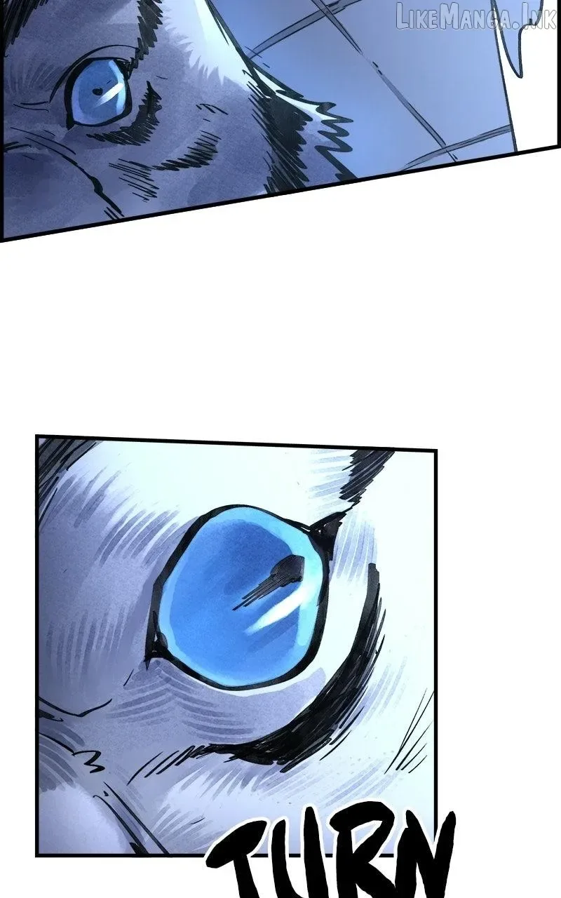Paper Tiger Chapter 60 page 25
