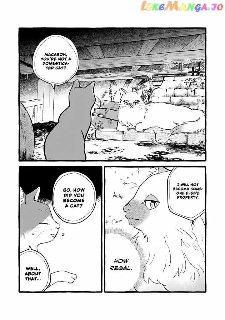 Reemployment Life With An Unsociable Untalkative Magician Chapter 11 page 3