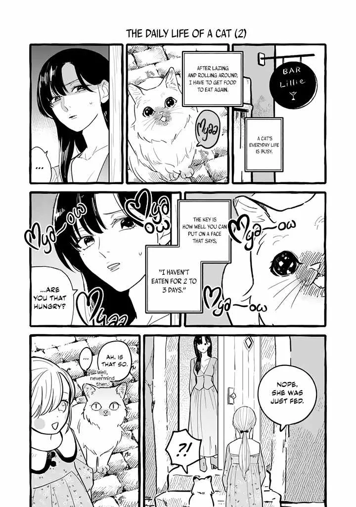Reemployment Life With An Unsociable Untalkative Magician Chapter 12.1 page 3