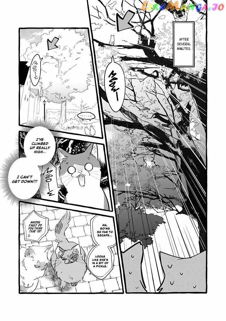 Reemployment Life With An Unsociable Untalkative Magician Chapter 11 page 12