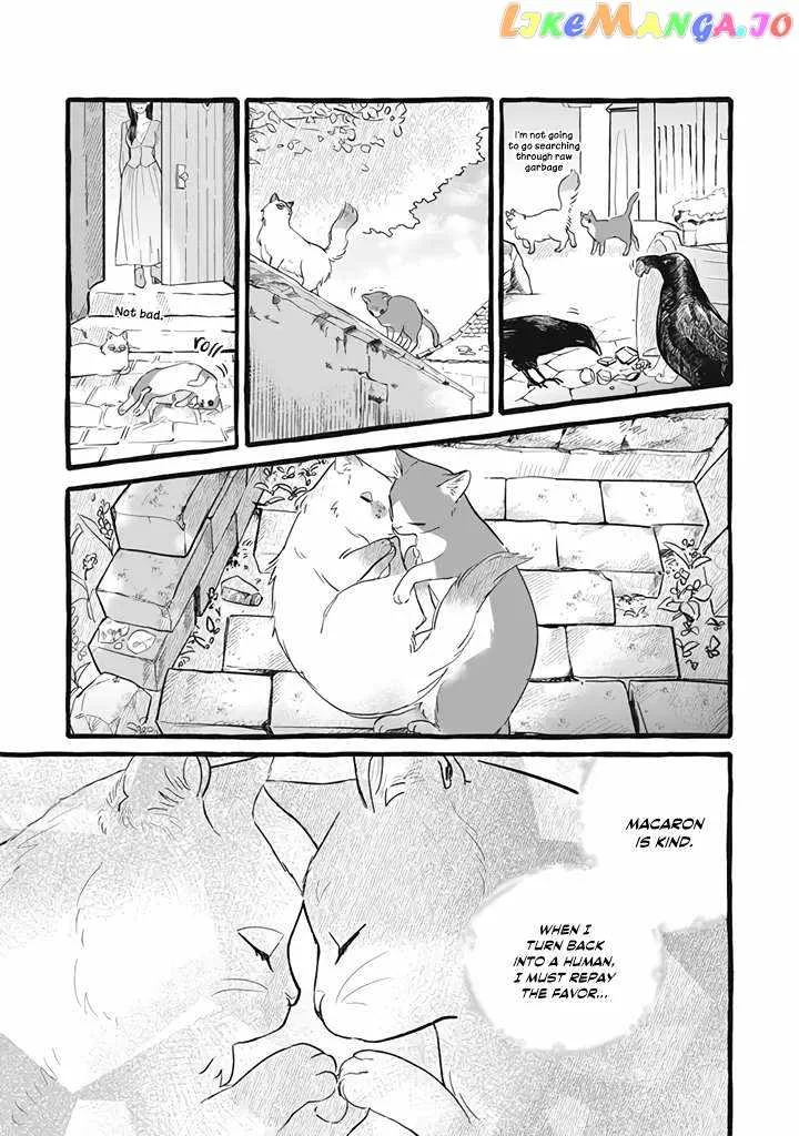 Reemployment Life With An Unsociable Untalkative Magician Chapter 11 page 8