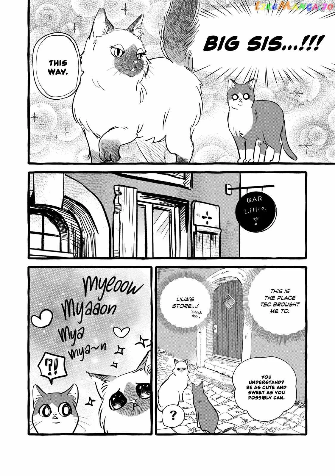 Reemployment Life With An Unsociable Untalkative Magician Chapter 10 page 29