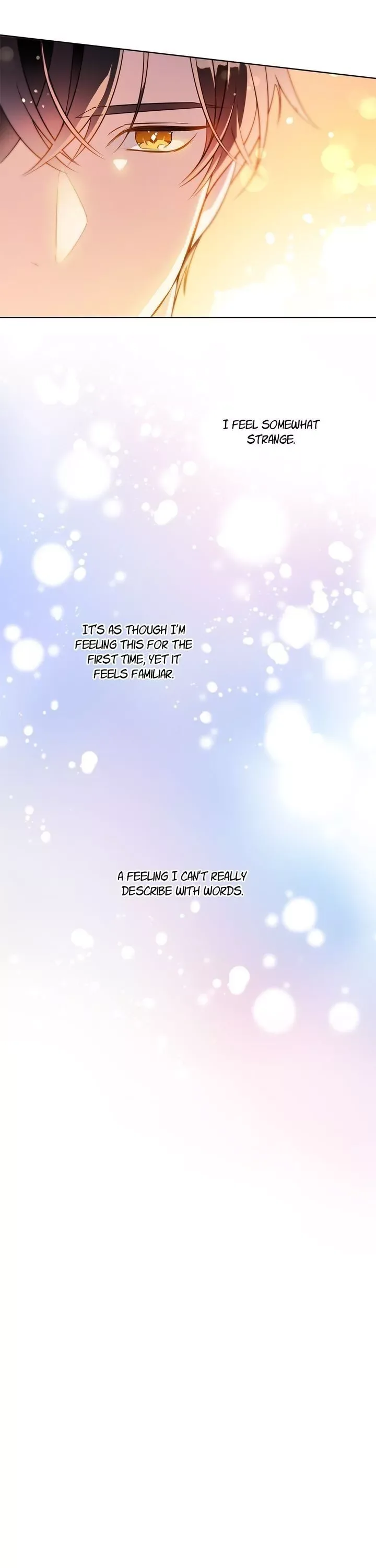 The Detective of Muiella Chapter 102 page 40