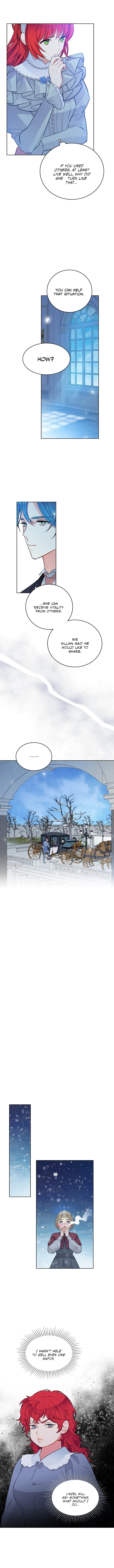 The Detective of Muiella Chapter 135 page 10