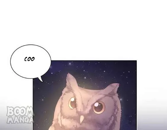 City Prince and Amazon Princess Chapter 10 page 16