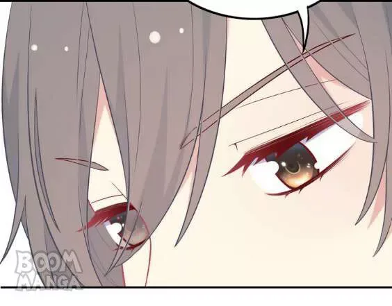City Prince and Amazon Princess Chapter 31 page 11