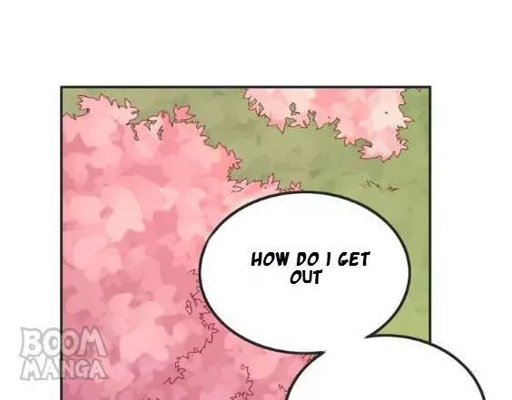 City Prince and Amazon Princess Chapter 37 page 79