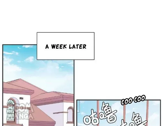 City Prince and Amazon Princess Chapter 68 page 1