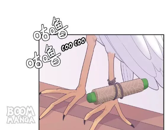 City Prince and Amazon Princess Chapter 68 page 17