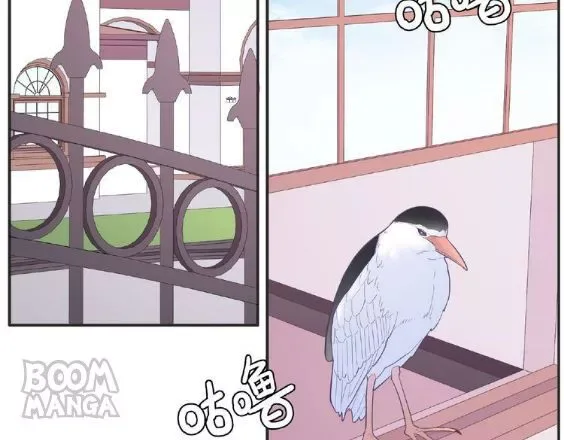City Prince and Amazon Princess Chapter 68 page 2