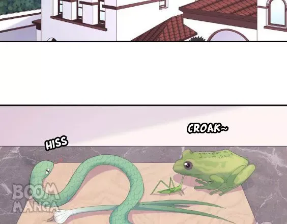 City Prince and Amazon Princess Chapter 72 page 2