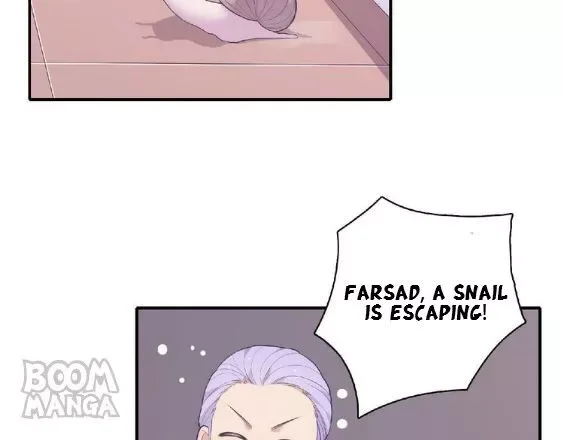 City Prince and Amazon Princess Chapter 72 page 19