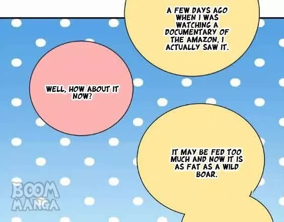 City Prince and Amazon Princess Chapter 88 page 70