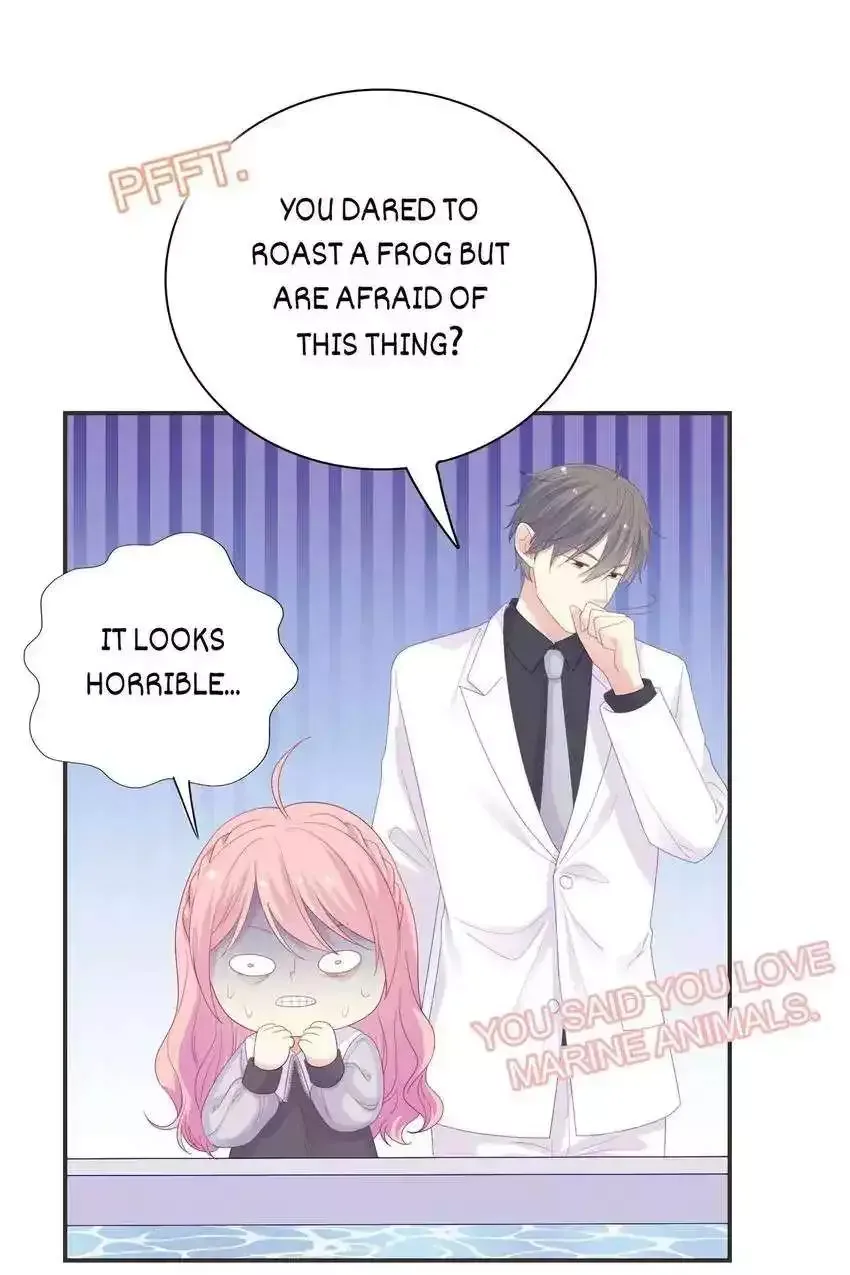 City Prince and Amazon Princess Chapter 96 page 64