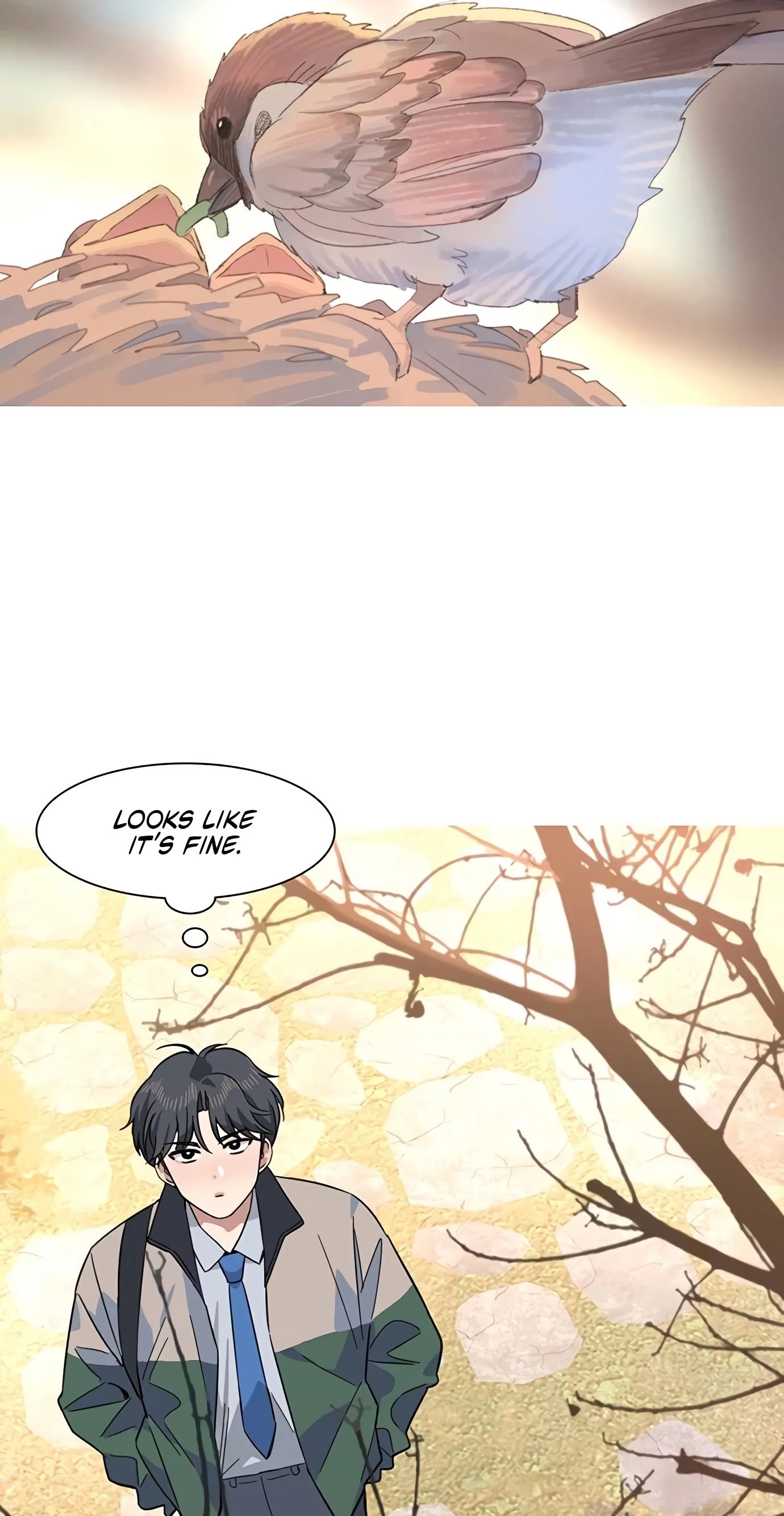 A Youth Observation Journal: Wings Before the Nest Chapter 6 page 71