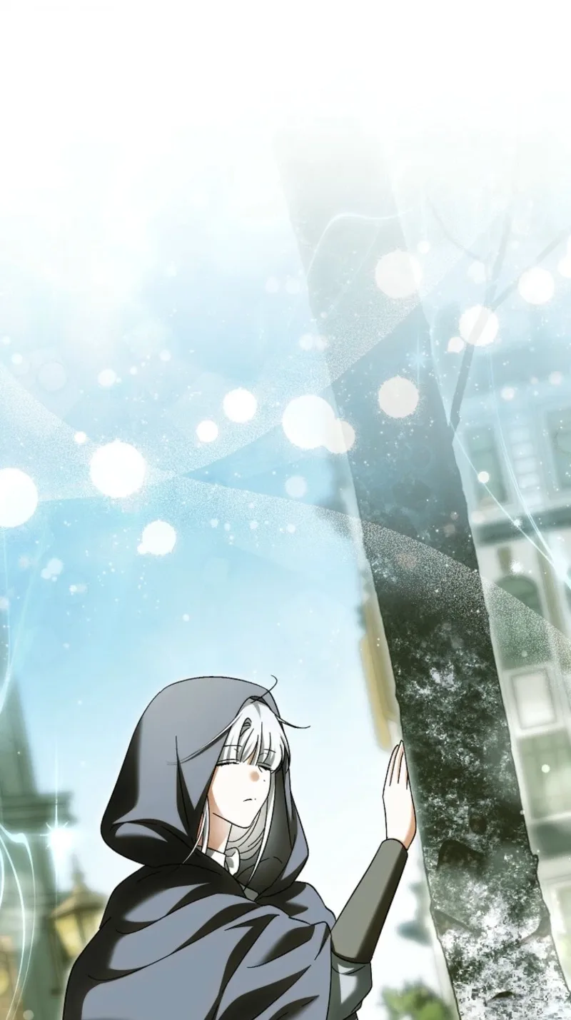 The White Tiger Princess is Not in Danger Chapter 51 page 12