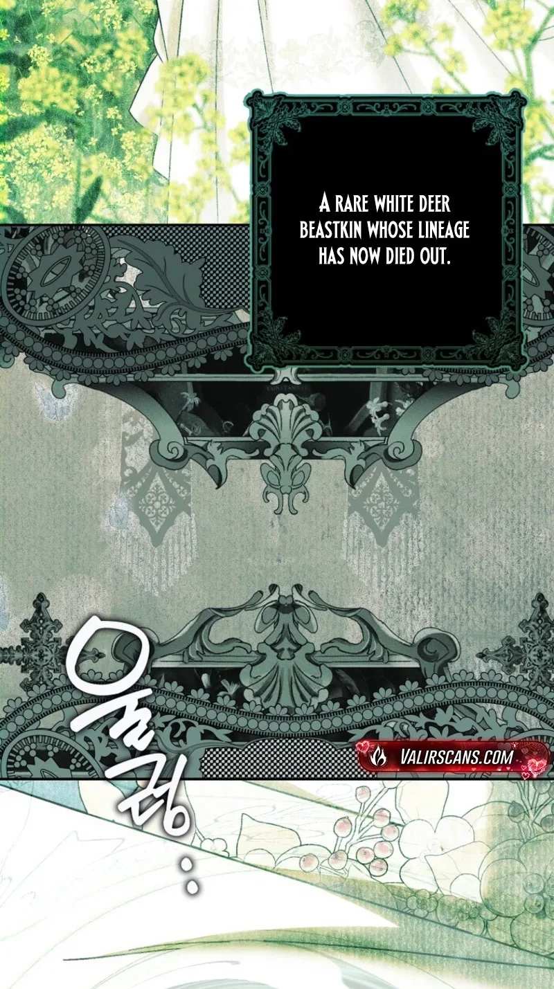 The White Tiger Princess is Not in Danger Chapter 51 page 16