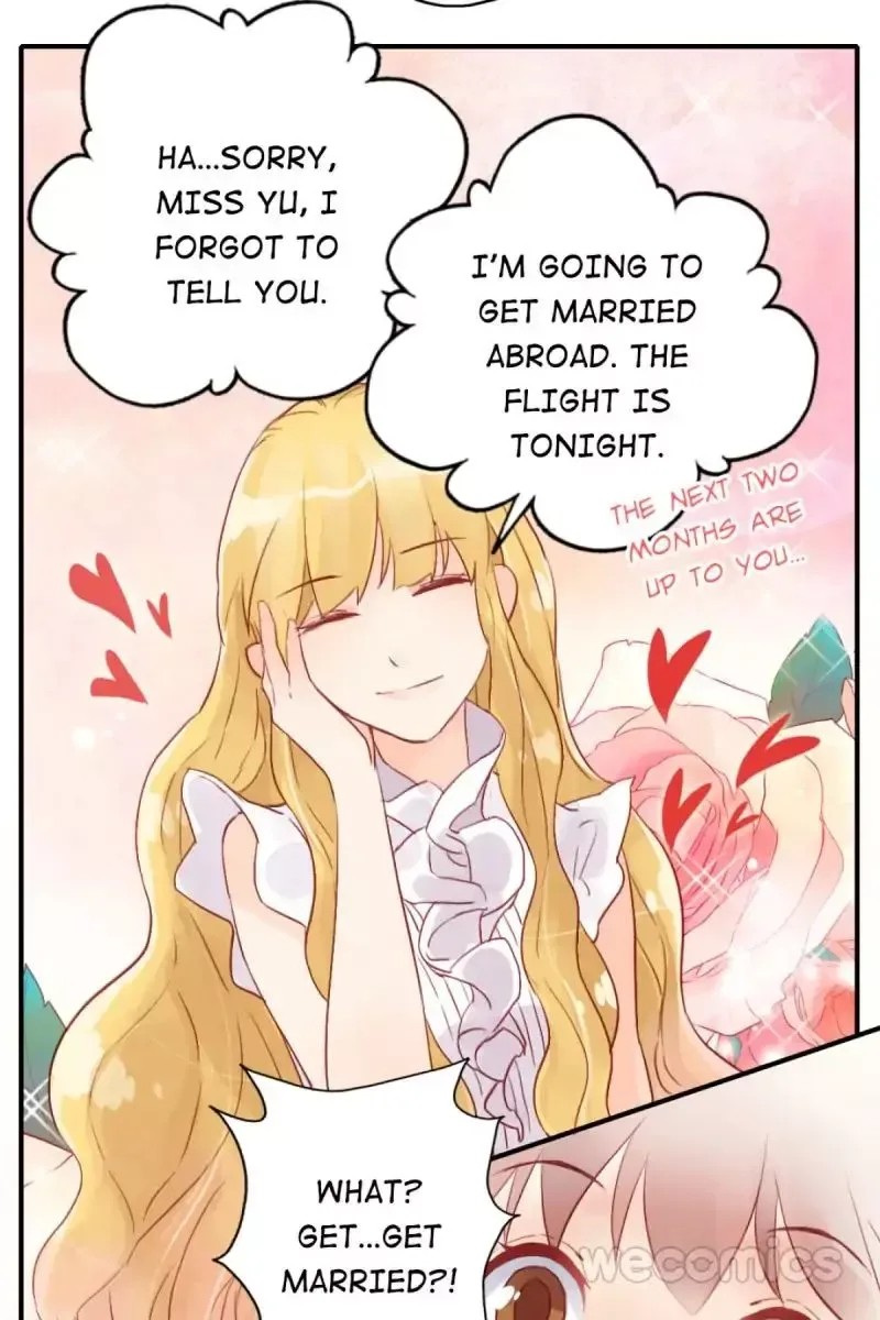Where's the Bossy CEO? Chapter 14 page 20