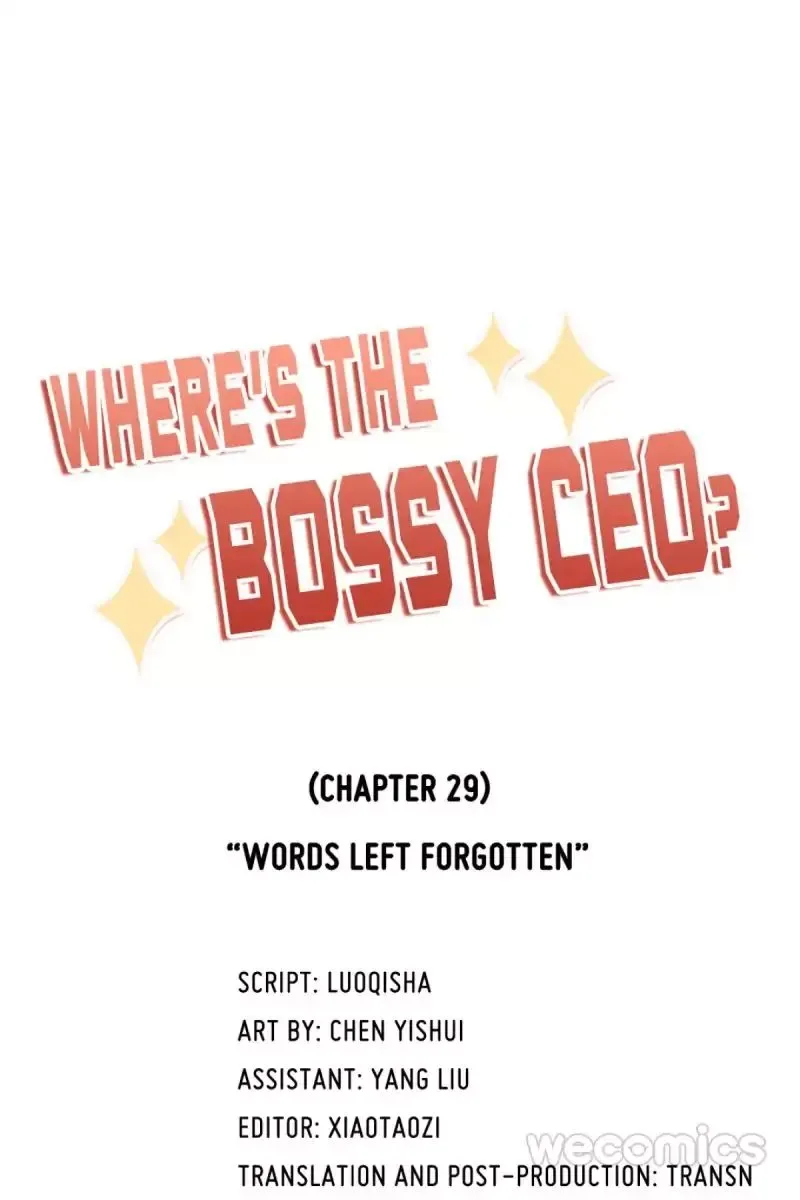 Where's the Bossy CEO? Chapter 29 page 1