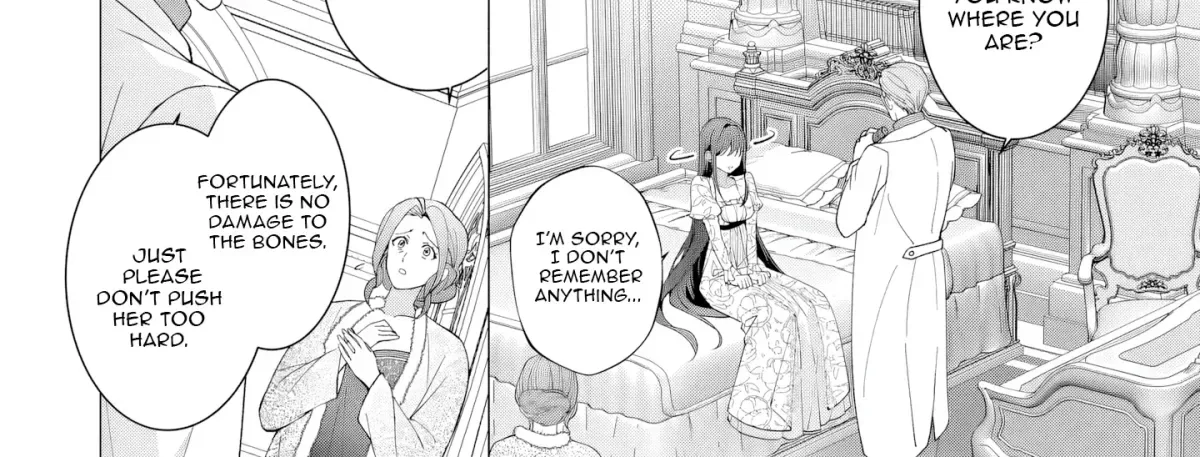 I Lost My Memories, so Did My Feelings for You Chapter 1 page 17