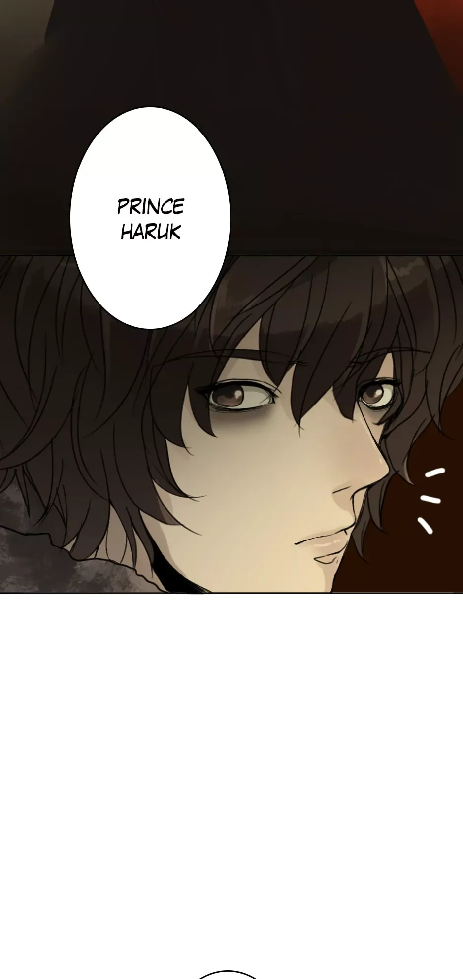 Prince of Silk and Thorn Chapter 10 page 11