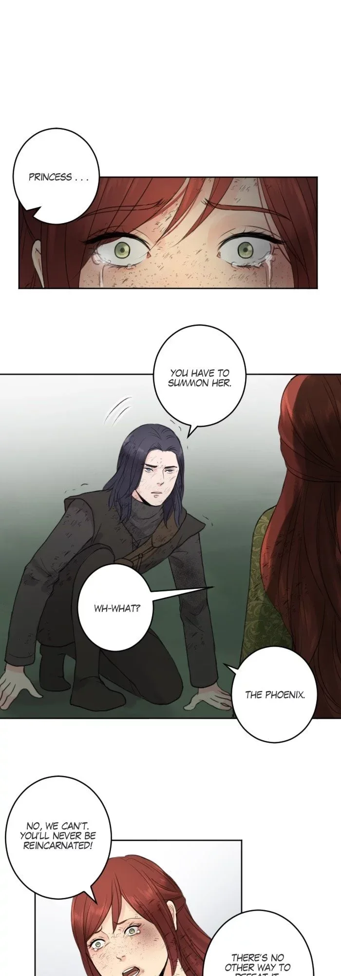 Prince of Silk and Thorn Chapter 49 page 14