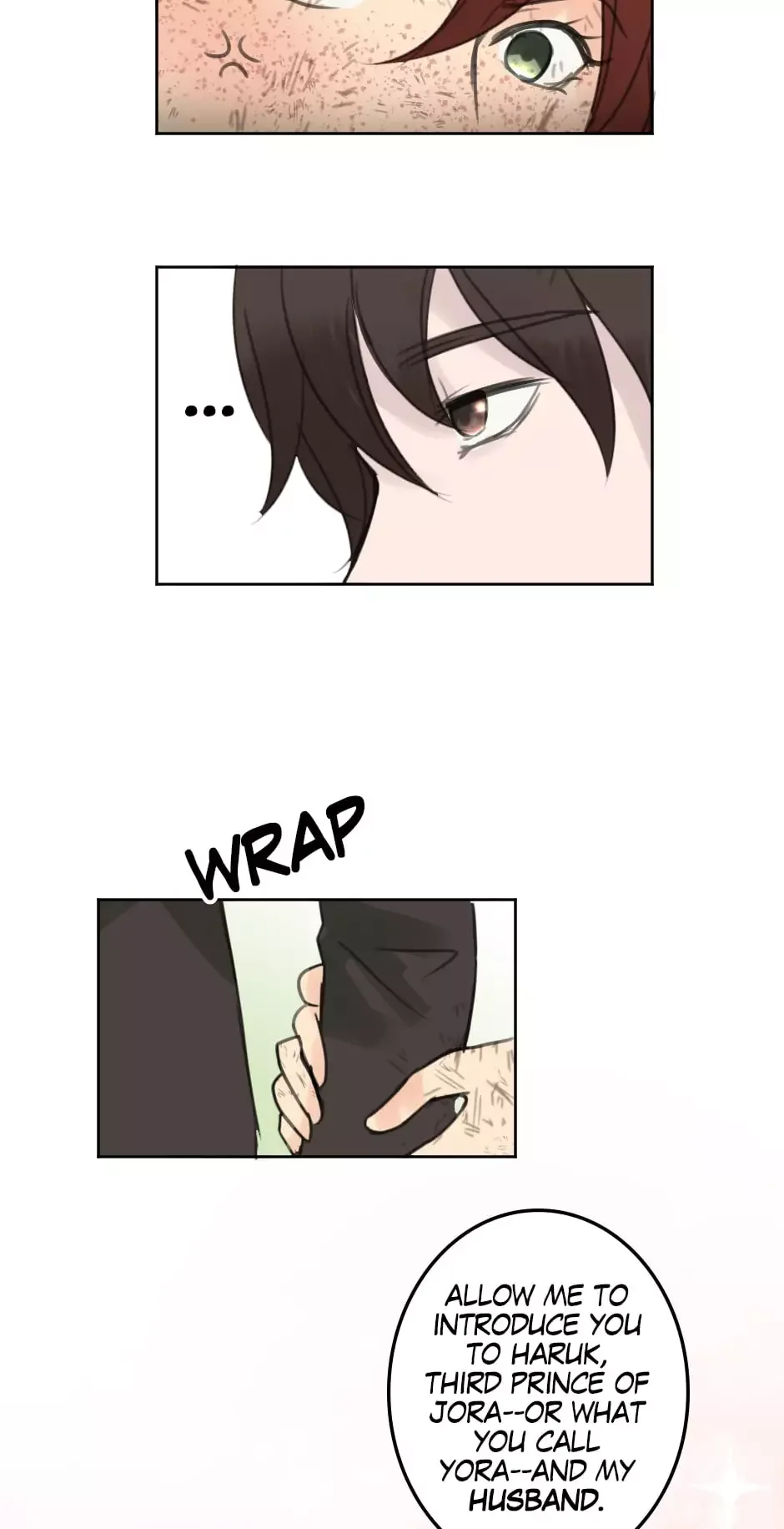Prince of Silk and Thorn Chapter 29 page 46