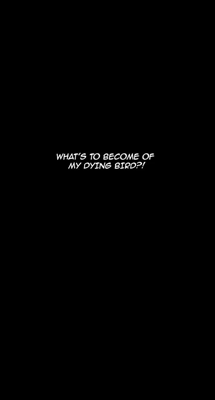 Trump Chapter 181 page 44
