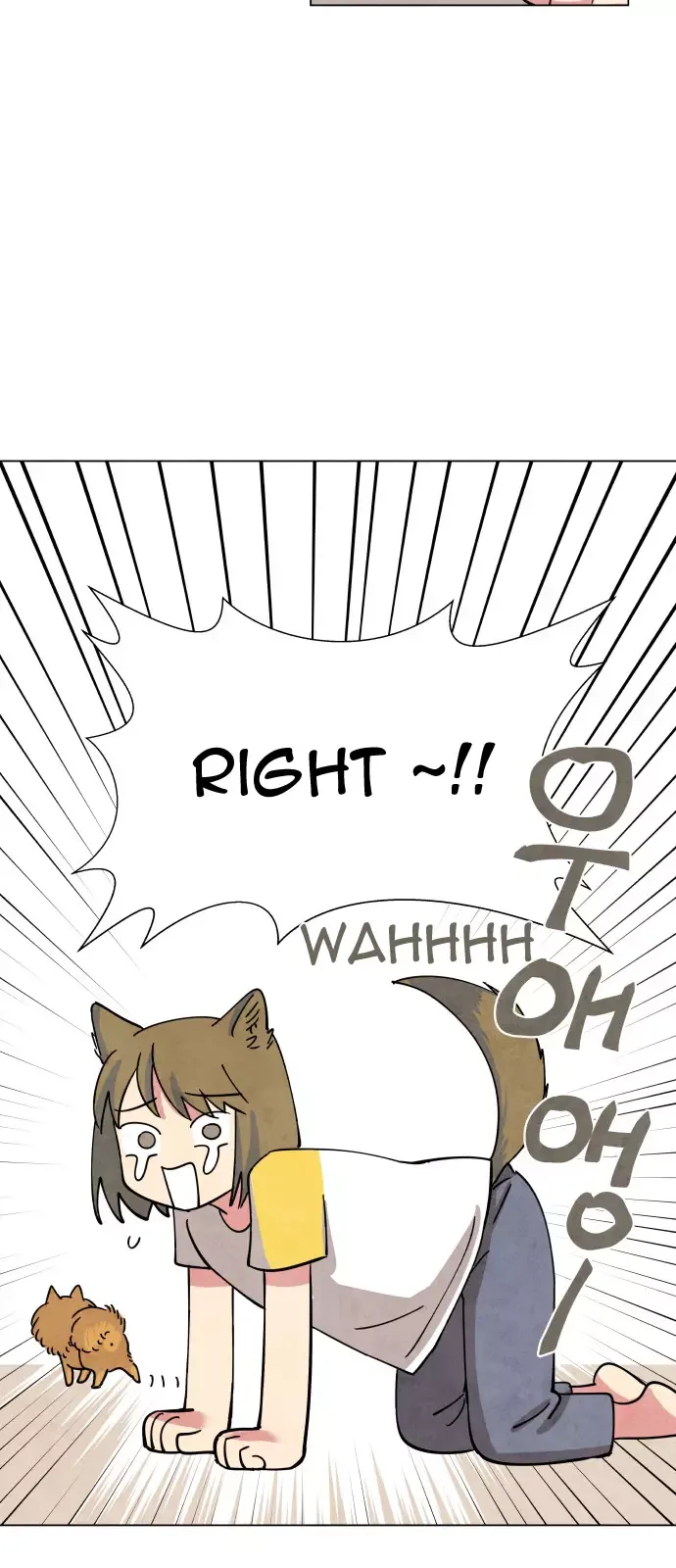 The Little Red Riding Hood Chapter 1 page 52