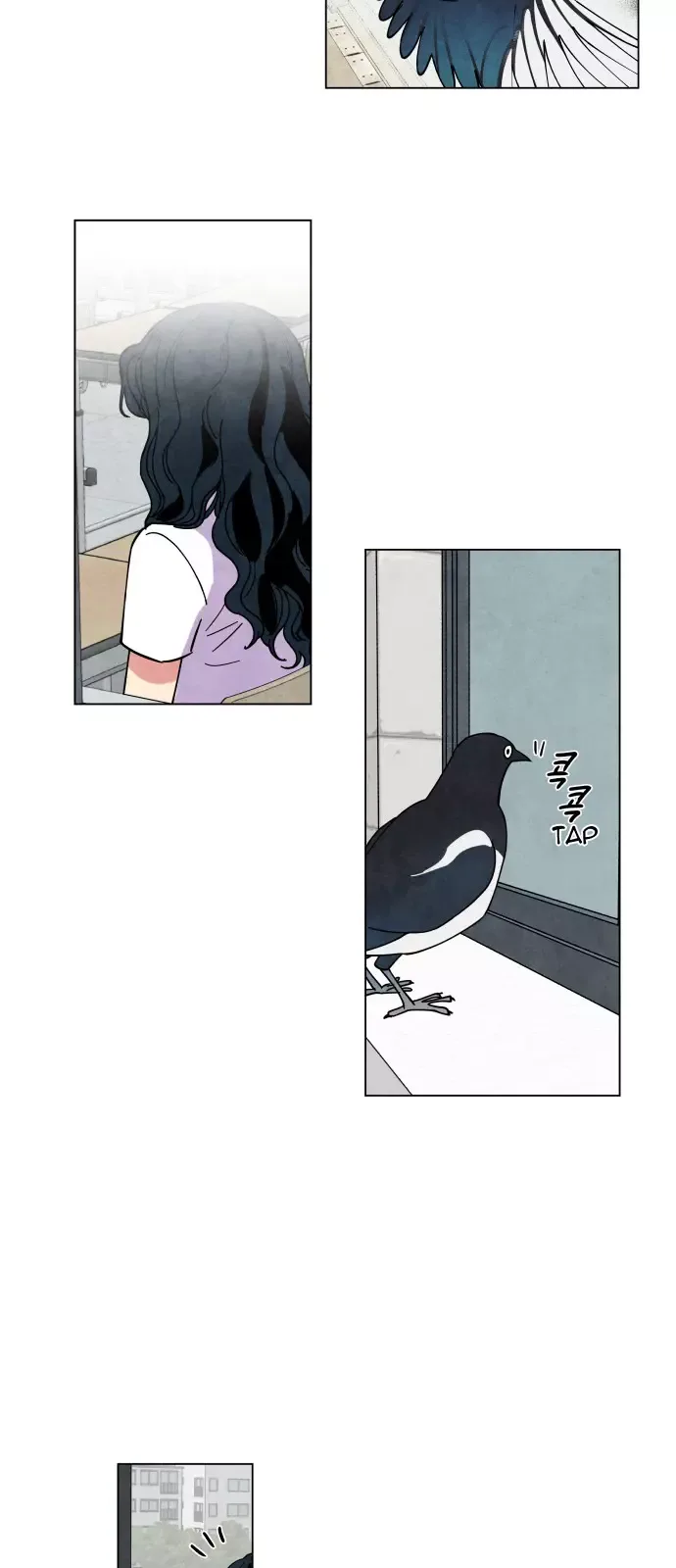 The Little Red Riding Hood Chapter 7 page 21