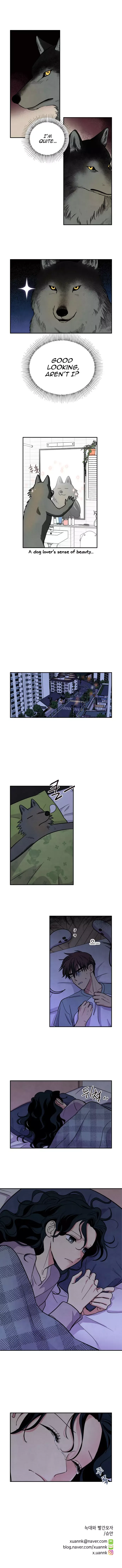 The Little Red Riding Hood Chapter 38 page 9