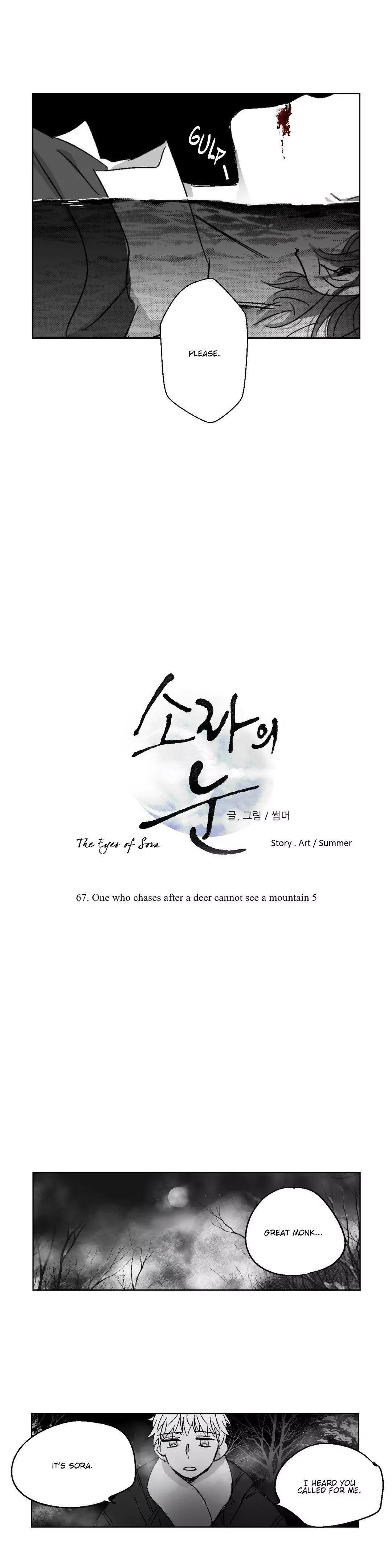 The Eyes of Sora Chapter 67 page 15