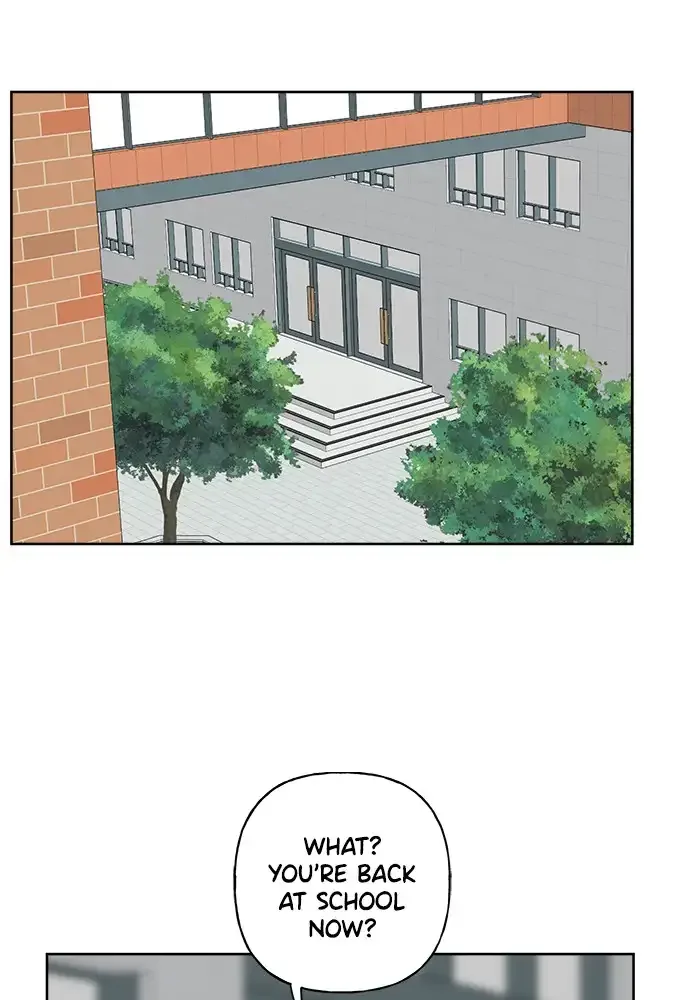 Mother I'm sorry Chapter 39 page 41