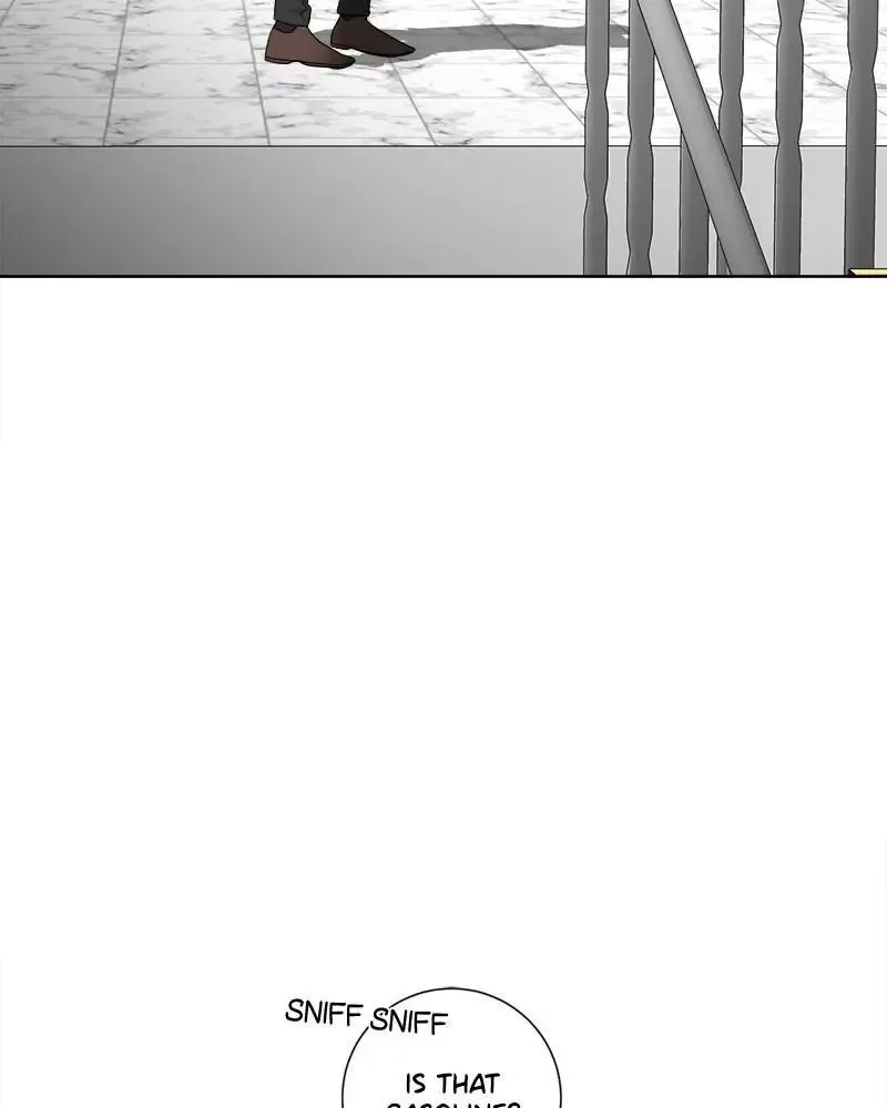 Mother I'm sorry Chapter 95 page 14