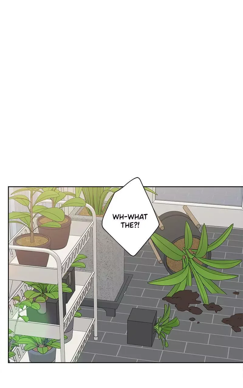 Mother I'm sorry Chapter 102 page 5