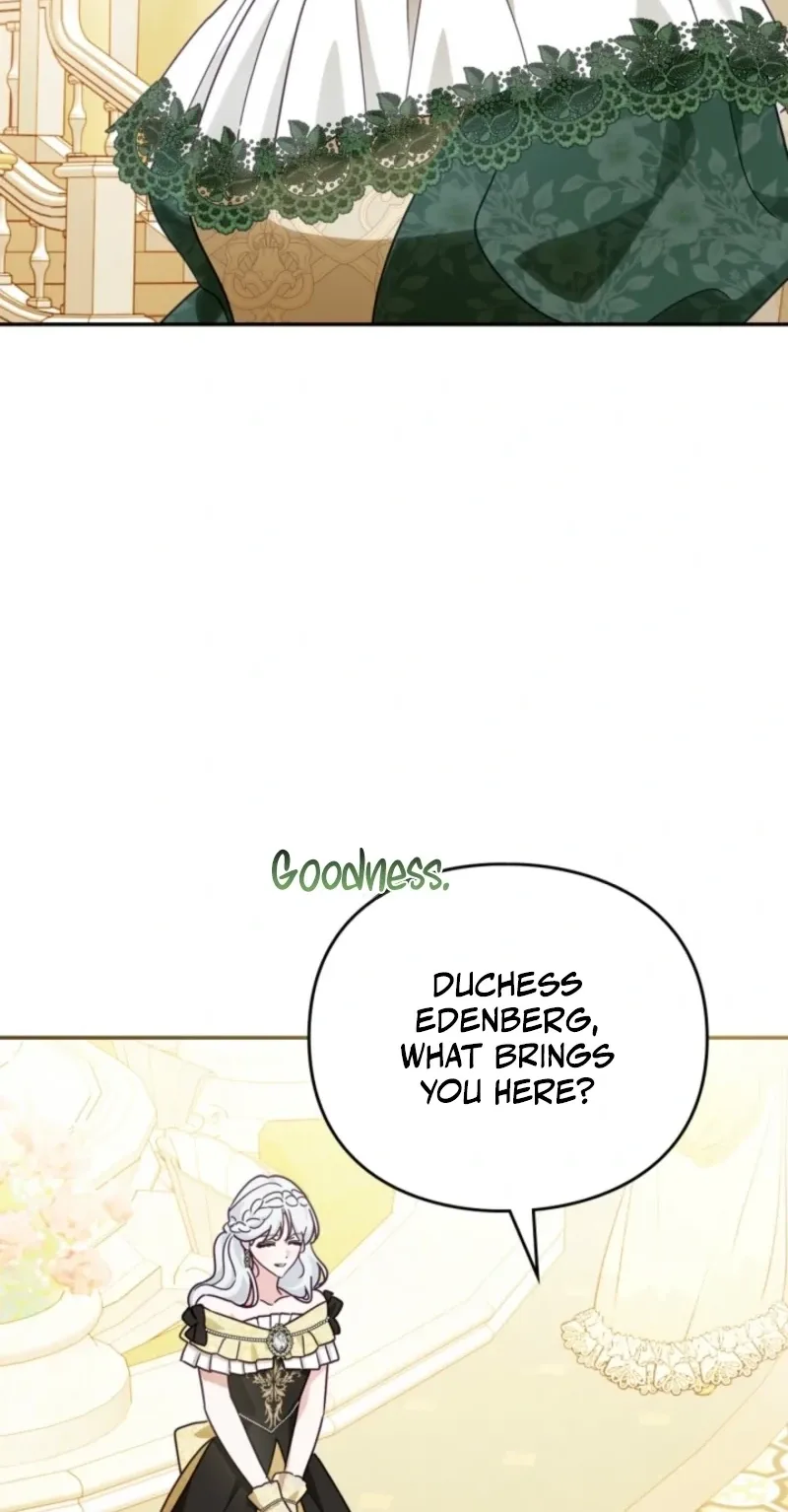 The Search for the Duchess's Husband Chapter 37 page 27
