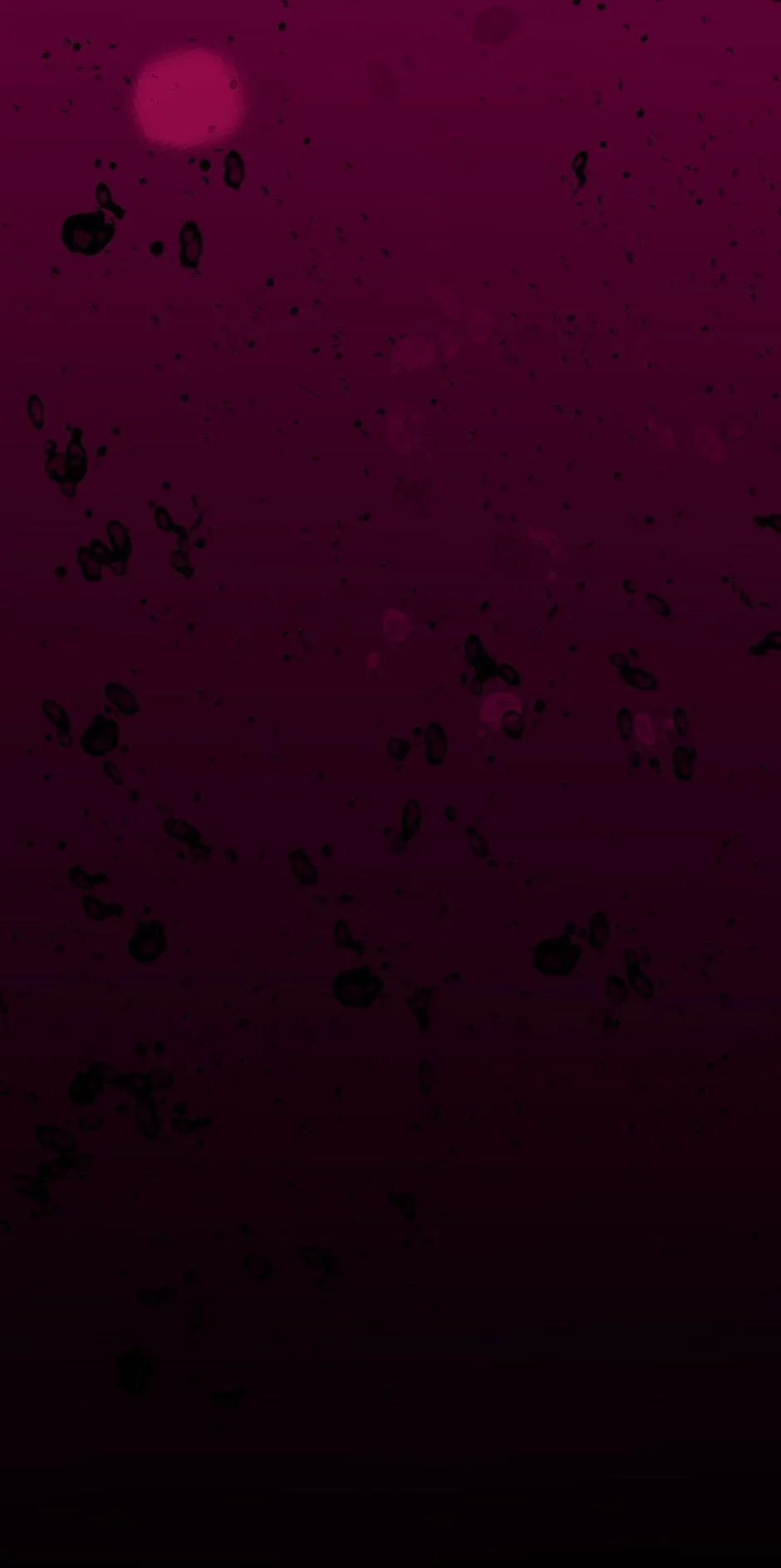 Divine Damnation Chapter 43 page 44