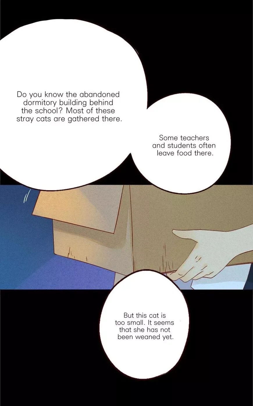 That Year, Under the Starry Sky Chapter 27 page 2